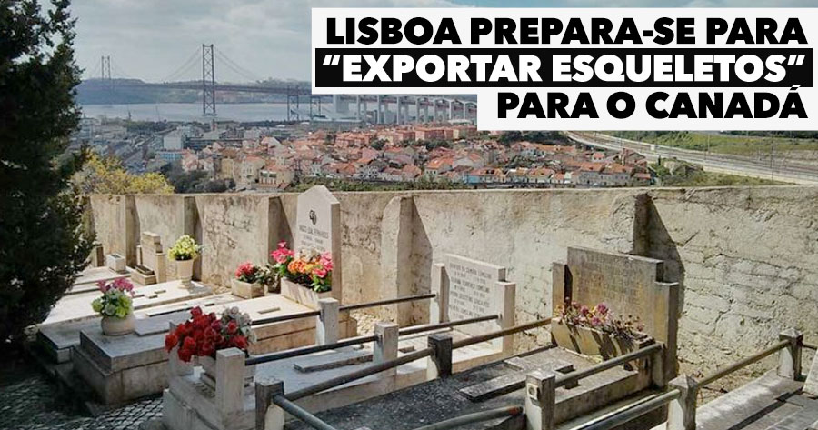  Esqueletos de Lisboa poderão vir a Emigrar para o Canadá